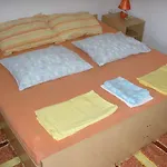 Apartman Vir 维尔