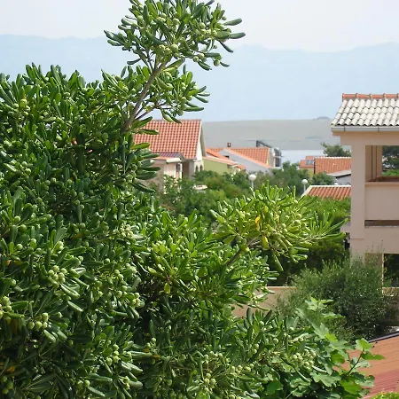 Apartman Vir Διαμέρισμα Vir