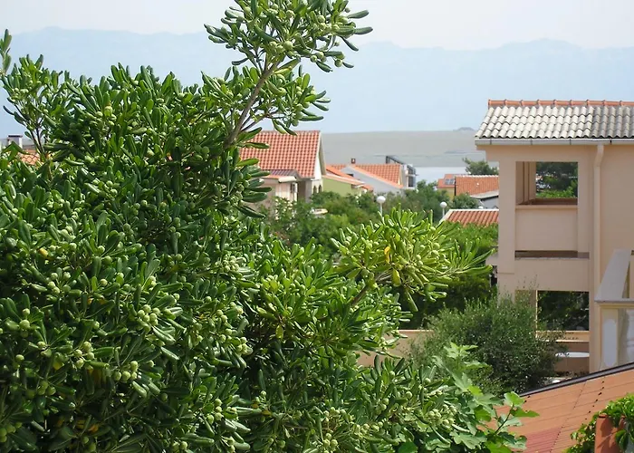 Apartman Vir Appartamento Vir